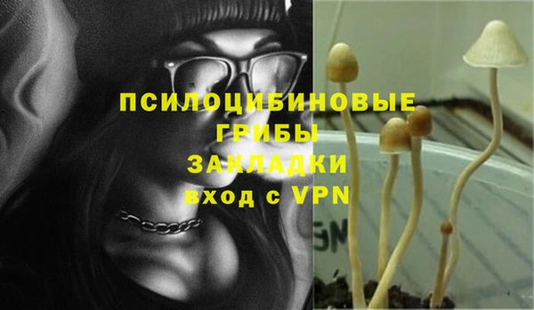 стаф Бердск