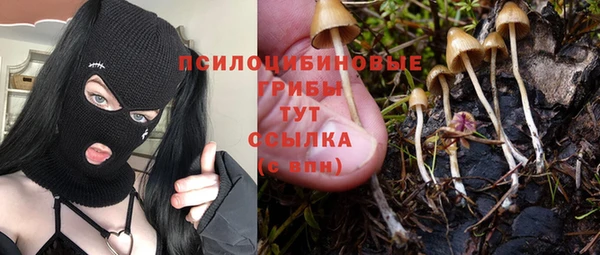 ГАЛЛЮЦИНОГЕННЫЕ ГРИБЫ Ачинск