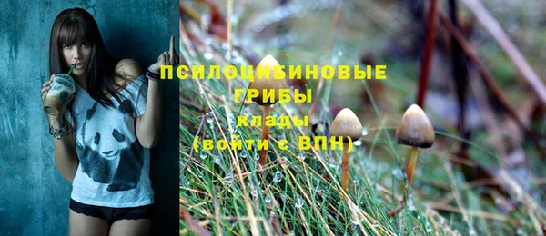 mix Алексин